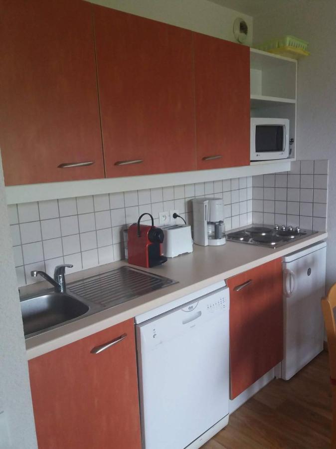 Le Hameau Des Ecrins Station 1800 Apartman Puy-Saint-Vincent Kültér fotó